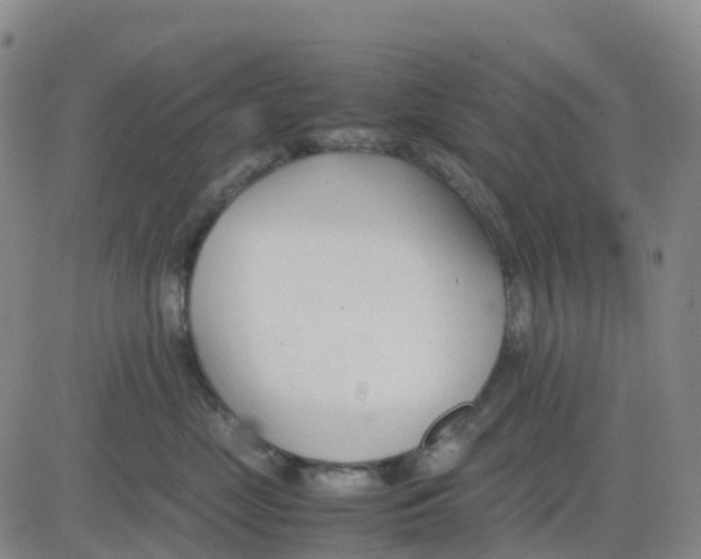 X0000083010669200702231814