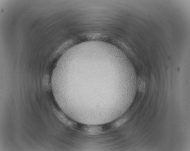 X0000083010670200702231814