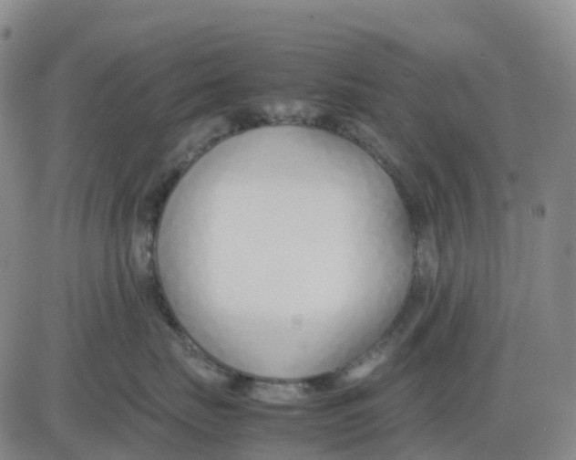 X0000083010671200702231814