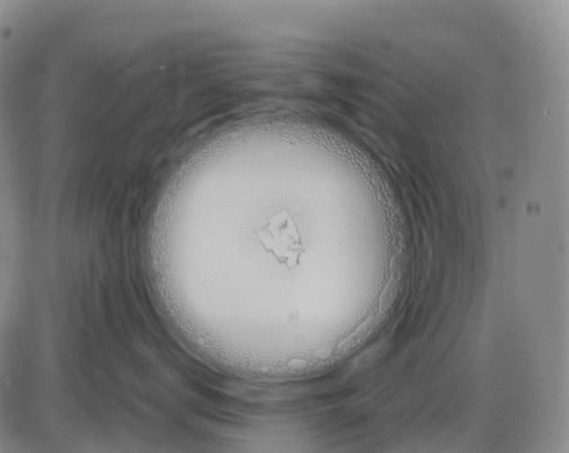 X0000083010672200702231814