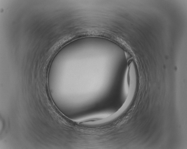 X0000083010673200702231813