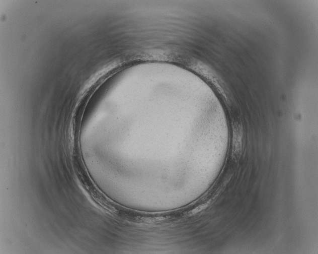 X0000083010674200702231813