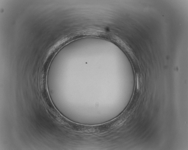 X0000083010675200702231813