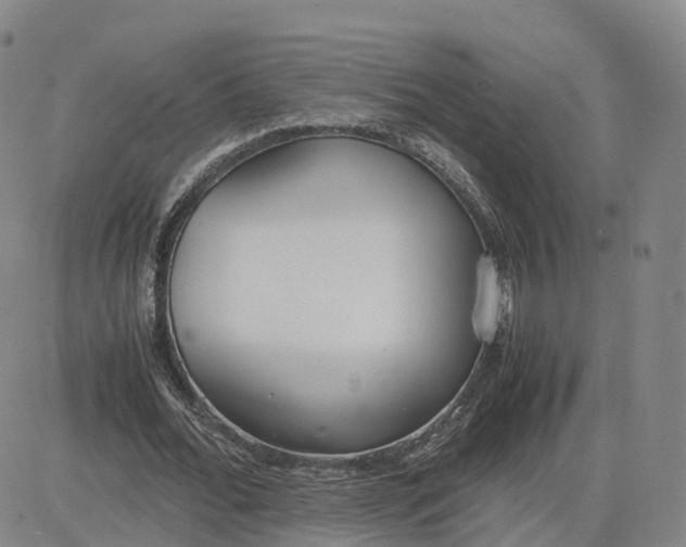 X0000083010676200702231813