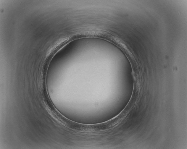 X0000083010677200702231813