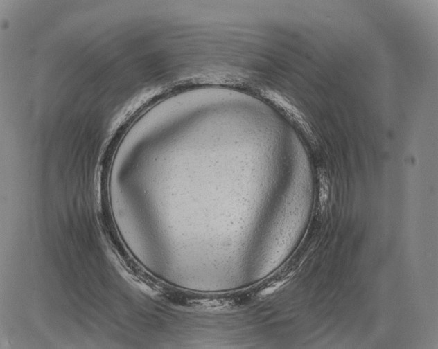 X0000083010678200702231813