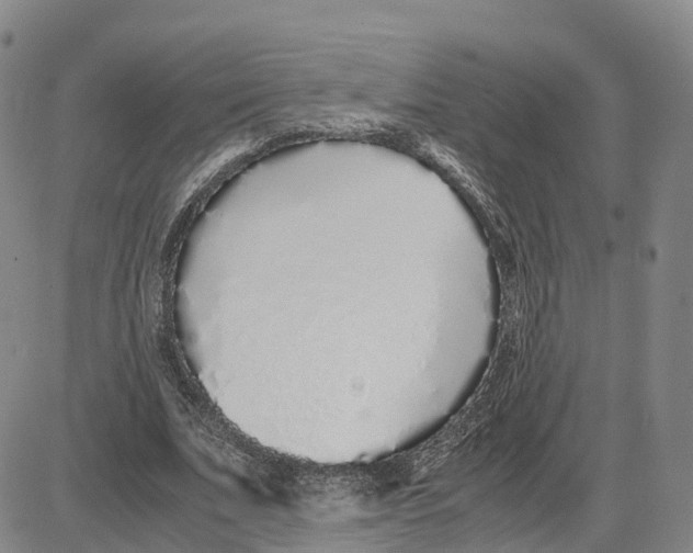 X0000083010679200702231813