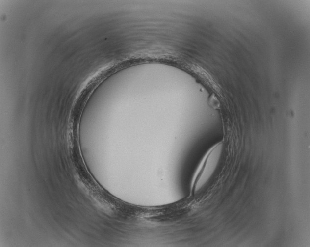 X0000083010680200702231813