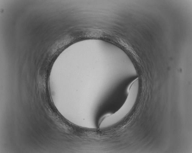 X0000083010681200702231813