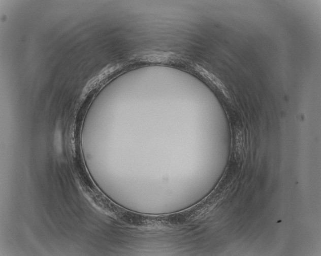 X0000083010682200702231813