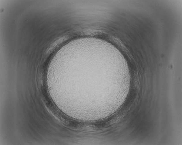 X0000083010683200702231813