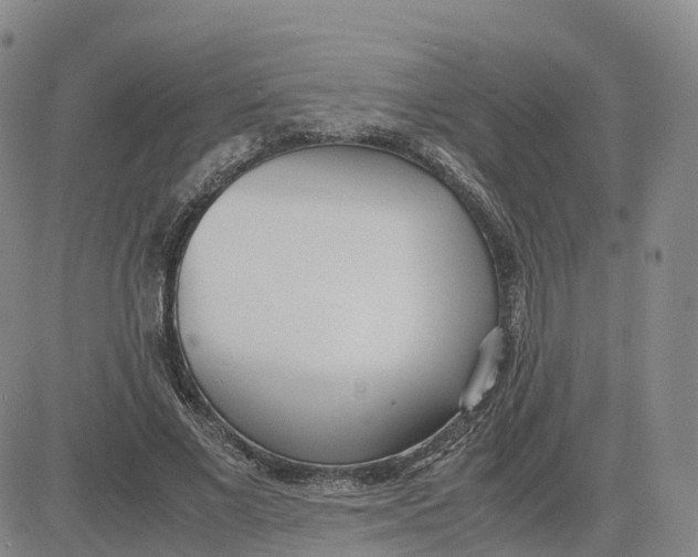 X0000083010685200702231813