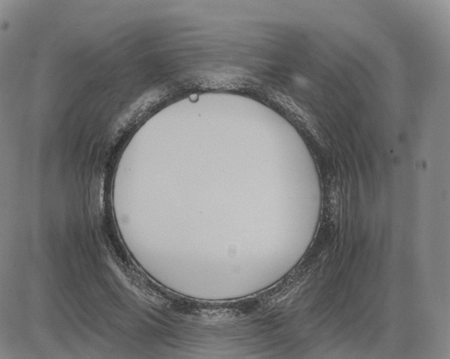 X0000083010686200702231813