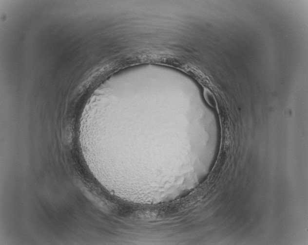 X0000083010687200702231813