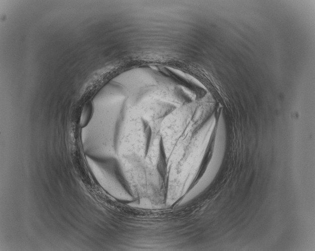 X0000083010688200702231813