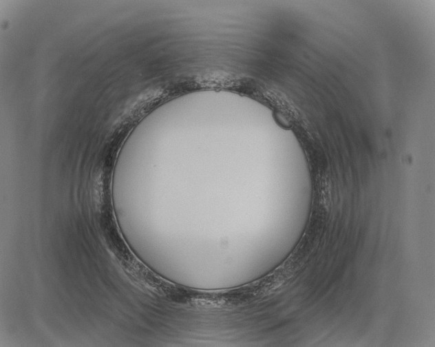 X0000083010690200702231813