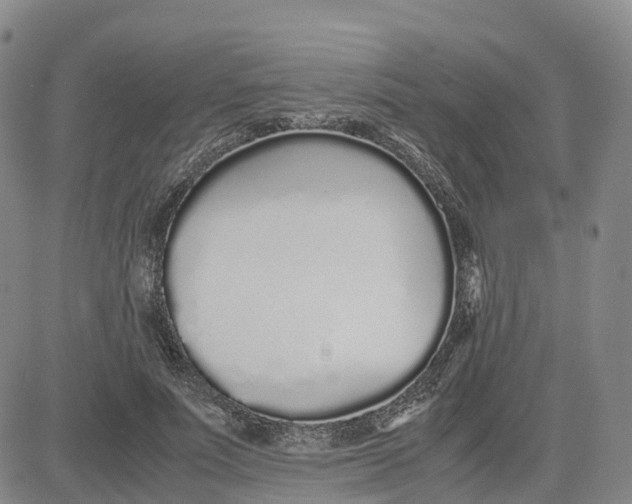 X0000083010691200702231813