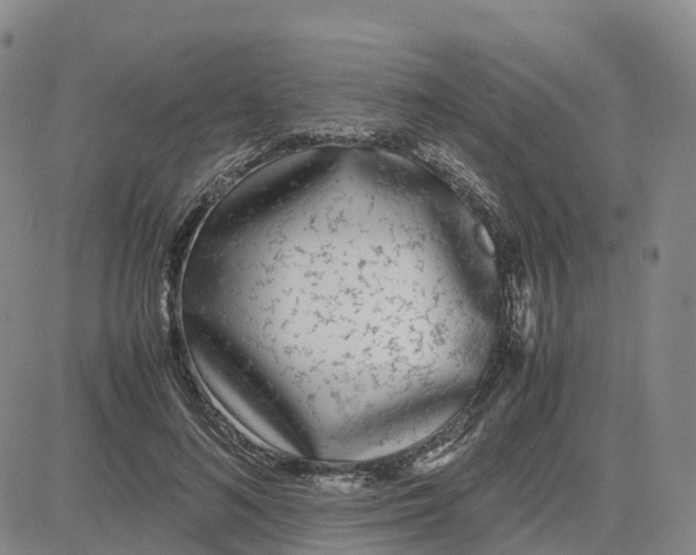 X0000083010692200702231813