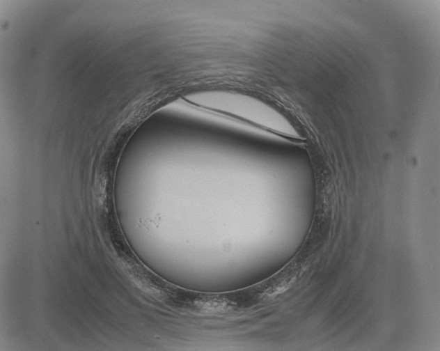 X0000083010693200702231813