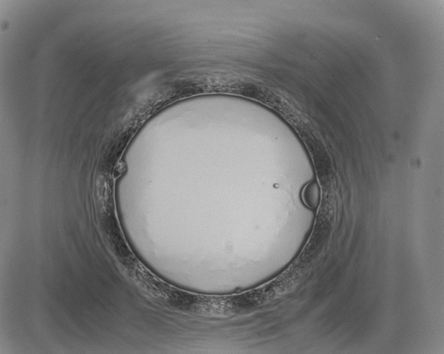 X0000083010695200702231813