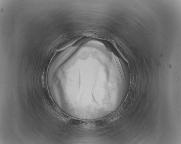 X0000083010696200702231813