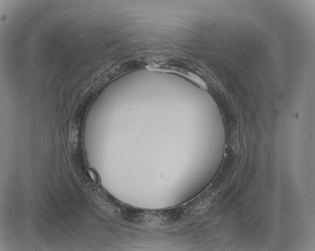 X0000083010697200702231813