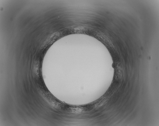 X0000083010698200702231812