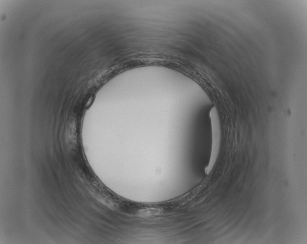 X0000083010700200702231812