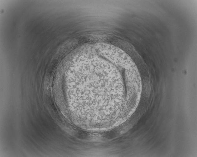 X0000083010701200702231812