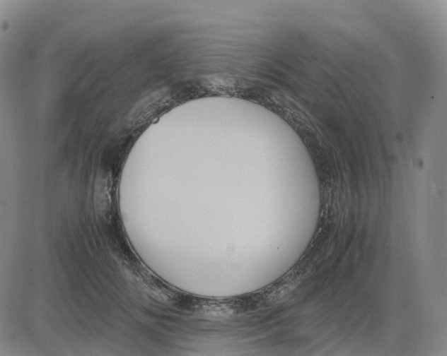 X0000083010702200702231812