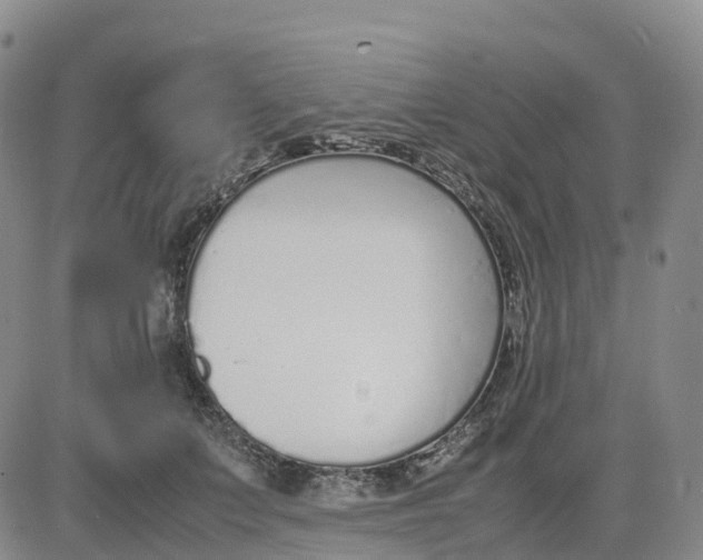 X0000083010703200702231812