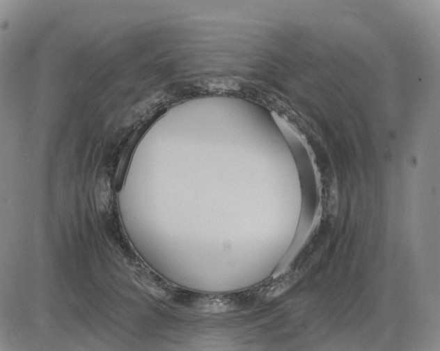 X0000083010704200702231812