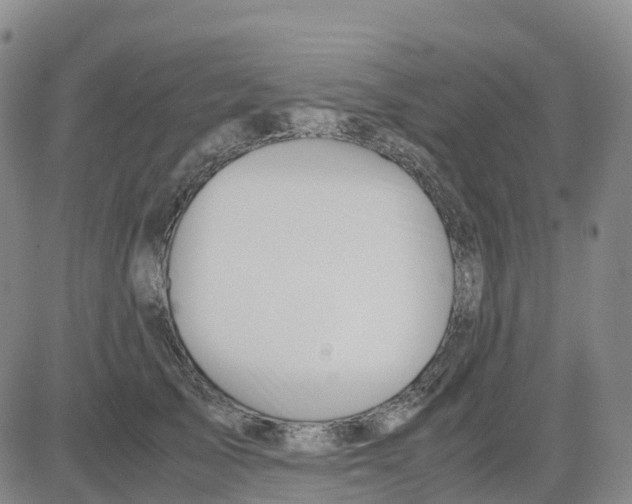 X0000083010705200702231812