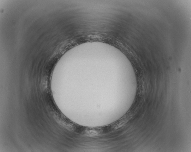 X0000083010706200702231812