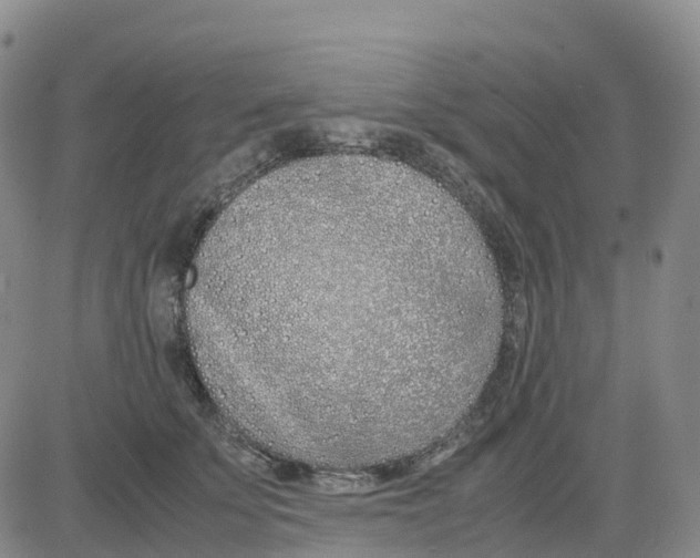 X0000083010707200702231812