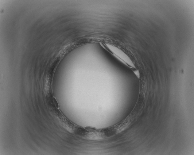 X0000083010708200702231812