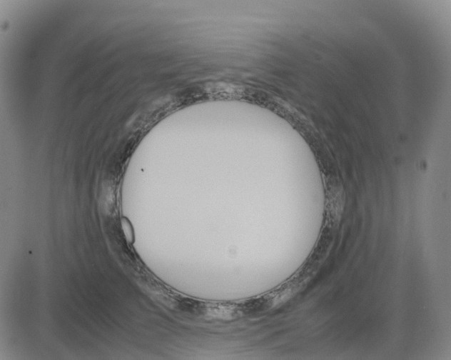 X0000083010709200702231812