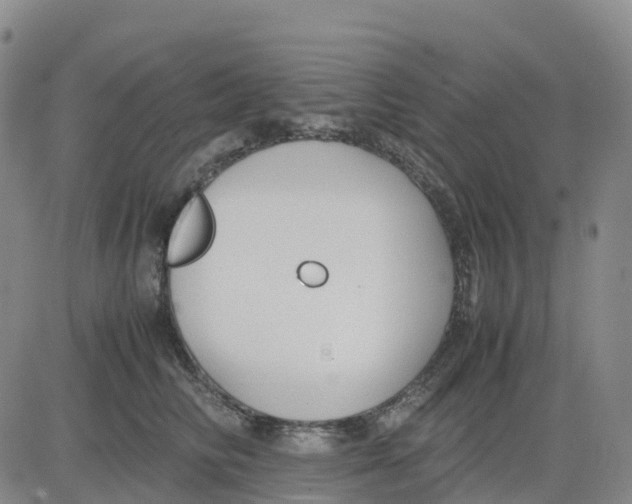 X0000083010710200702231812