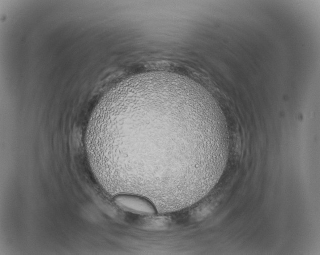 X0000083010711200702231812