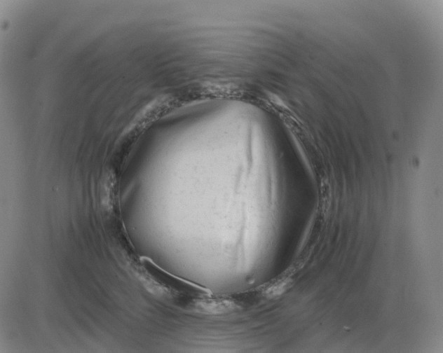 X0000083010712200702231812