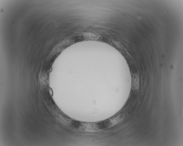 X0000083010713200702231812