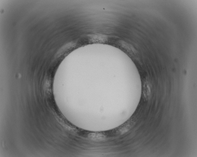 X0000083010714200702231812