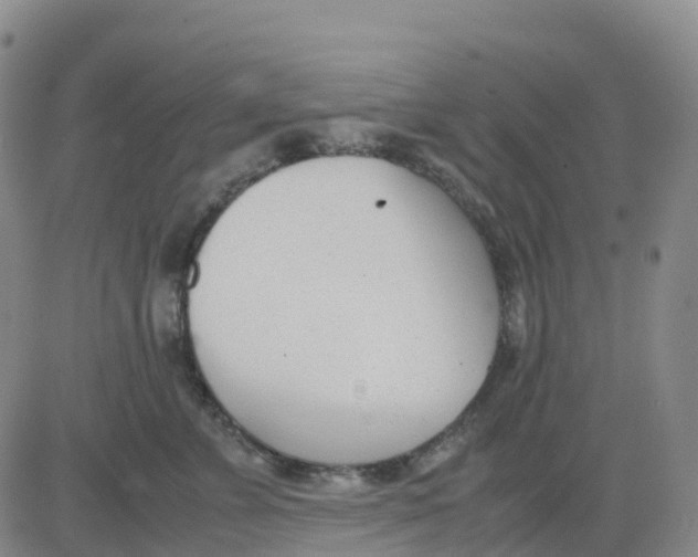 X0000083010715200702231812