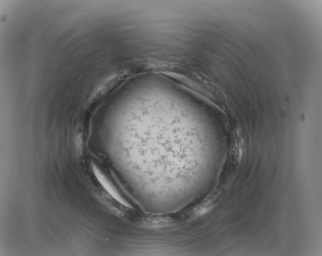 X0000083010716200702231812