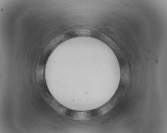 X0000083010717200702231812