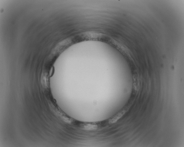 X0000083010718200702231812