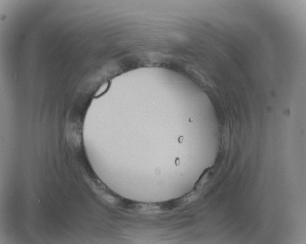 X0000083010719200702231812