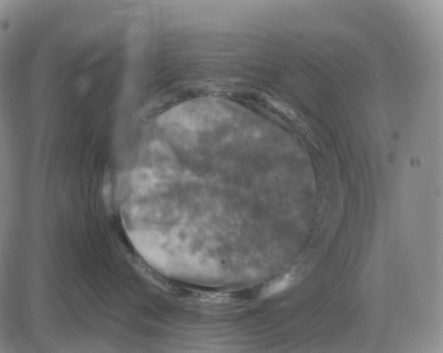 X0000083010720200702231812