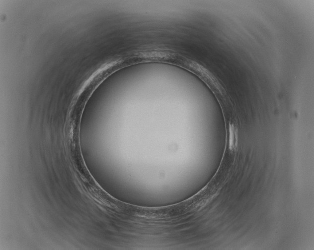 X0000083010723200702231811