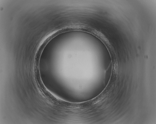 X0000083010724200702231811